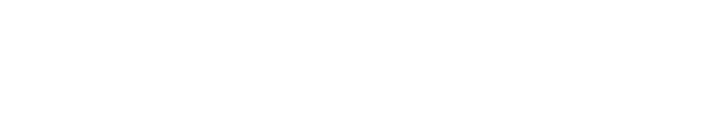 Silvatech Consulting Ltd White Logo