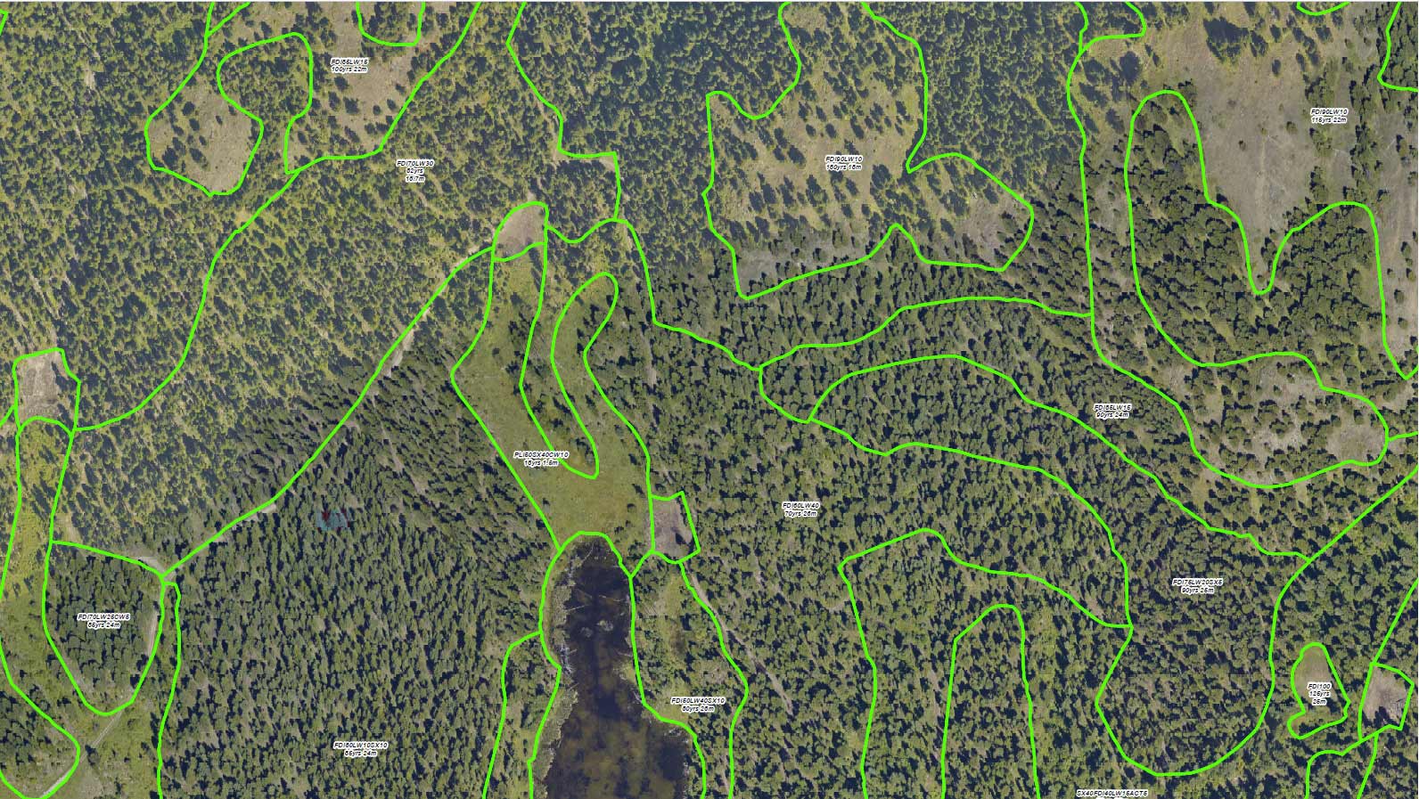 Sample of VRI map of landscape from above